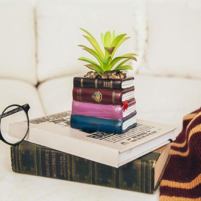 Harry Potter Book Stack 3-Inch Ceramic Planter With Artificial Succulent Image 3