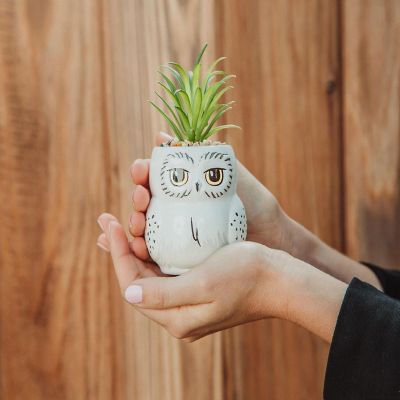 Harry Potter Hedwig 3-Inch Ceramic Mini Planter with Artificial Succulent Image 2