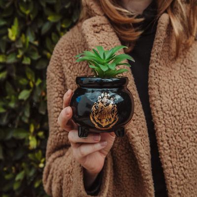 Harry Potter Hogwarts Cauldron Ceramic Mini Planter With Artificial Succulent Image 2