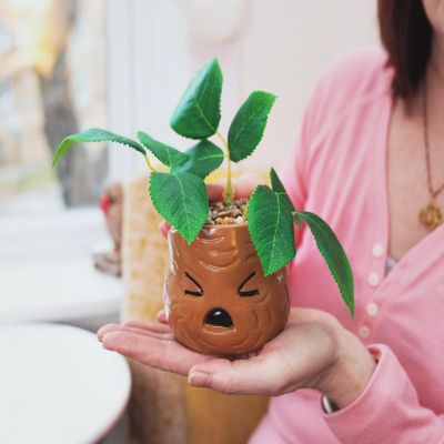 Harry Potter Mandrake Face 6-Inch Ceramic Planter with Artificial Succulent Image 2