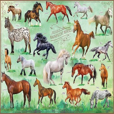 Horses Jigsaw Puzzle, 500 Pieces - Magnificent Horses, 20" x 14" - with 32 Page Pocket Field Guide - Great Gift for Horse Lovers Image 1