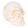 Human Skull Cast Iron Paperweight Image 1