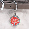 I&amp;#8216;ve Been a Good Boy Pet Tag Image 1