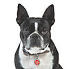 I&amp;#8216;ve Been a Good Boy Pet Tag Image 2
