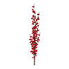 IleProper Berry Stem (Set of 2) Image 1