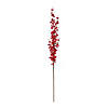IleProper Berry Stem (Set of 2) Image 1