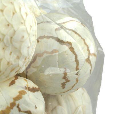 India House 18 Piece Natural White and Brown Exotic Dried Organic Decorative Balls Image 1