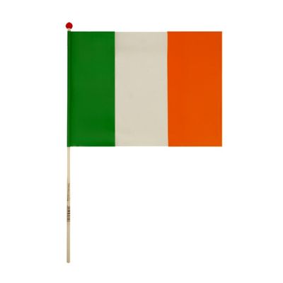 Ireland Hand Flag Costume Accessory Image 1