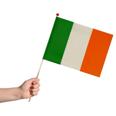 Ireland Hand Flag Costume Accessory Image 1