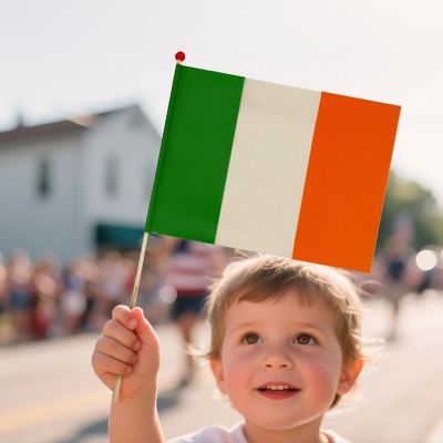 Ireland Hand Flag Costume Accessory Image 2