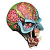 Iron Maiden The Final Frontier Cover Eddie Overhead Mask - One Size Image 1