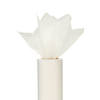 Ivory Tulle Roll Image 1