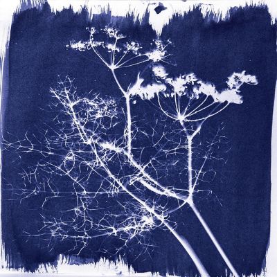 Jacquard Cyanotype Chemistry Set Image 2