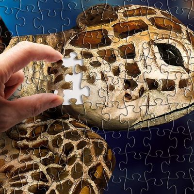 Johannes Stotter Sea Turtle Body Art 1000 Piece Jigsaw Puzzle Image 1