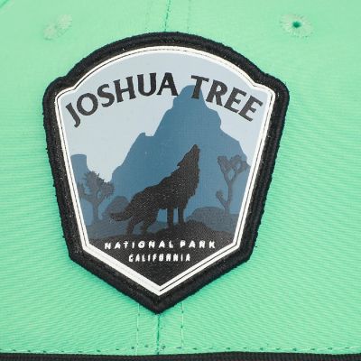 Joshua Tree National Park Mint 6-Panel Unstructured Hat Image 2