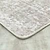 Joy carpets stretched thin 3'10" x 5'4" area rug in color dove Image 1