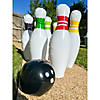 Jumbo Inflatable Bowling Game Image 2