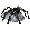 Jumping Spider Image 1