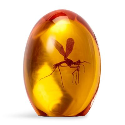 Jurassic Park Mosquito In Amber Resin Paper Weight  Measures 3 Inches Tall Image 1