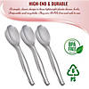 Kaya Collection Silver Disposable Plastic Serving Spoons (150 Spoons) Image 3