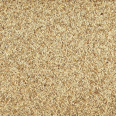 Kaytee Supreme Parakeet Bird Food, 20lb Image 1