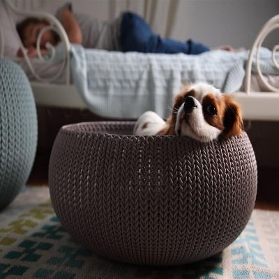 Keter by Curver Knit Cozy Resin Plastic Pet Bed with Cushion, Small Dogs to Medium Cats, Sandy Beige Image 3
