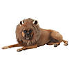 King of the Jungle Dog Costume - Large Image 1