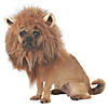 King of the Jungle Dog Costume Image 1