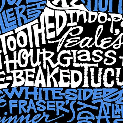 Large Word Art Tote Bag - Species of Dolphin - 20&quot;W x 15&quot;H x 5&quot;D Image 2