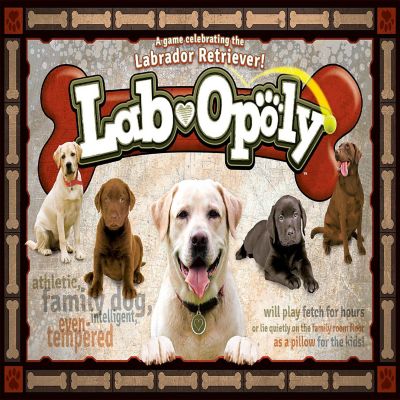 Late for the Sky: Lab-Opoly Monopoly Board Game Image 1