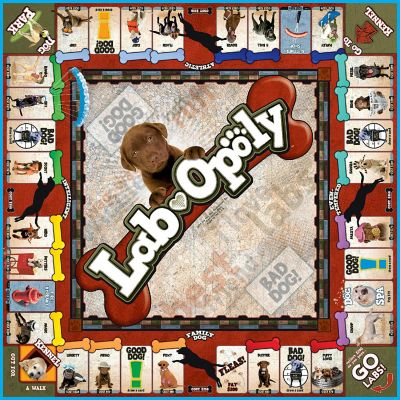 Late for the Sky: Lab-Opoly Monopoly Board Game Image 2