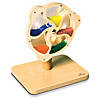 Learn Well Rotating Bead Wheel Image 1