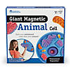 Learning Resources Giant Magnetic Animal Cells Image 1