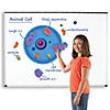 Learning Resources Giant Magnetic Animal Cells Image 2