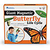 Learning Resources Giant Magnetic Butterfly Life Cycle, Set of 9 Image 1