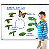 Learning Resources Giant Magnetic Butterfly Life Cycle, Set of 9 Image 3