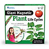 Learning Resources Giant Magnetic Plant Life Cycle, Set of 12 Image 1