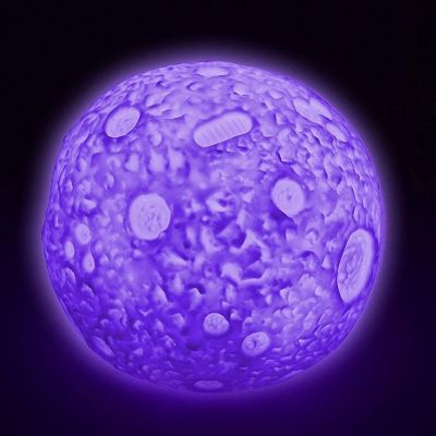 LED Moon Sensory Light Lamp with Remote Image 2