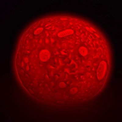 LED Moon Sensory Light Lamp with Remote Image 3