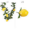 Lemon Garland Decorating Kit - 13 Pc. Image 1