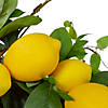 Lemons and Assorted Foliage Spring Wreath 20" Image 3