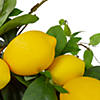 Lemons and Assorted Foliage Spring Wreath 20" Image 4