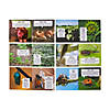 Life Cycle Readers - 6 Pc. Image 1