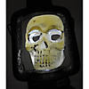 Light-Up Skull Lantern Image 1