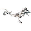 Lizard Skeleton Decoration Image 1