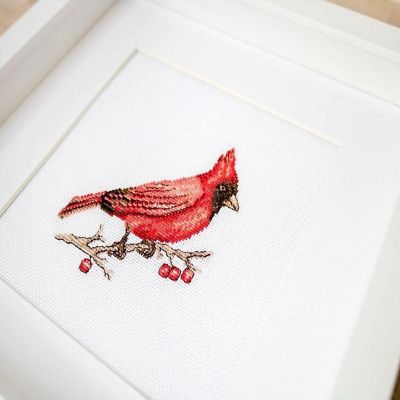 Luca-S - Cardinal B1156L Counted Cross-Stitch Kit Image 1