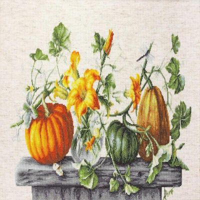 Luca-S - Pumpkin B2303L Counted Cross-Stitch Kit Image 1