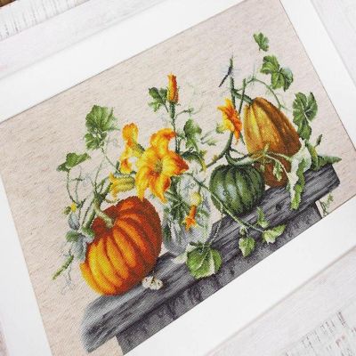 Luca-S - Pumpkin B2303L Counted Cross-Stitch Kit Image 1