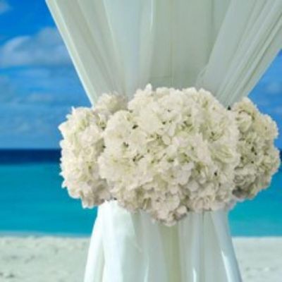 Luxurious White Hydrangea Bouquet Image 3