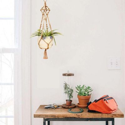 Macrame Braided Plant Hanger Image 2